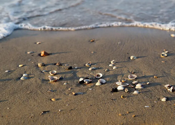 Spacious Family For 8 Guests Apartment Bibione