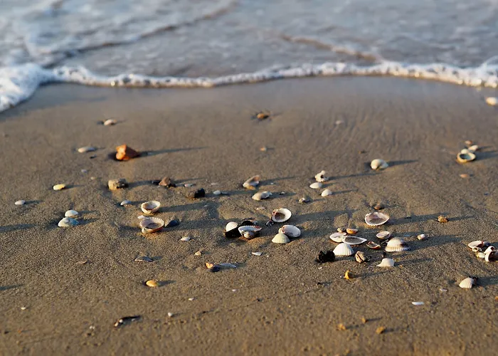 Spacious Family For 8 Guests *